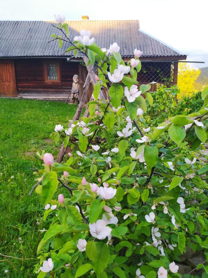 Starovitska Hata - Ethno-Cottage Verkhovyna Luaran gambar