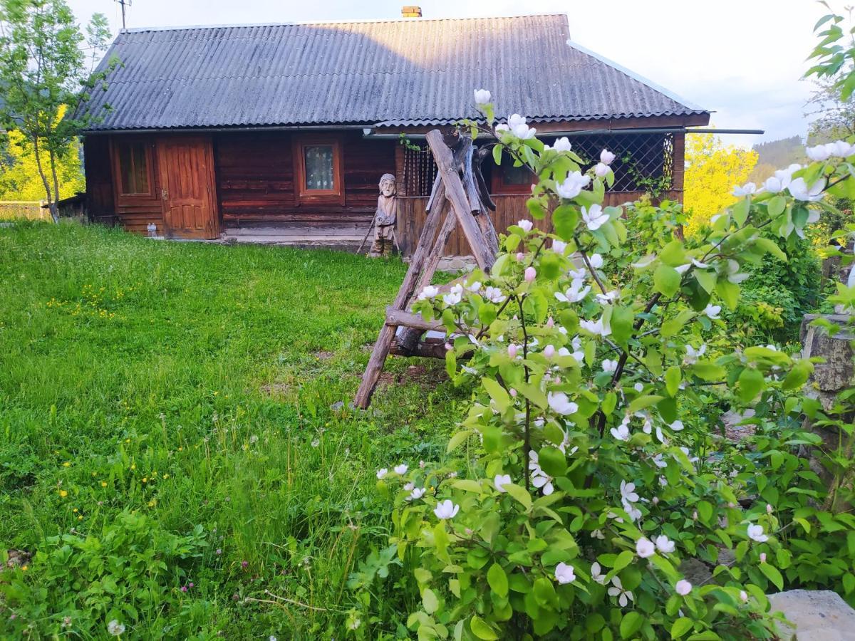 Starovitska Hata - Ethno-Cottage Verkhovyna Luaran gambar