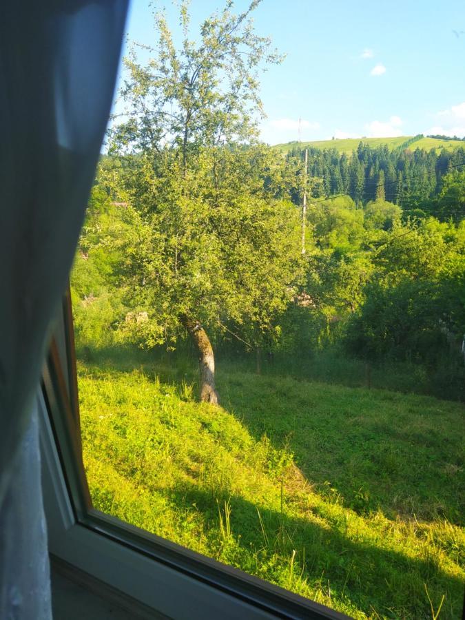 Starovitska Hata - Ethno-Cottage Verkhovyna Luaran gambar