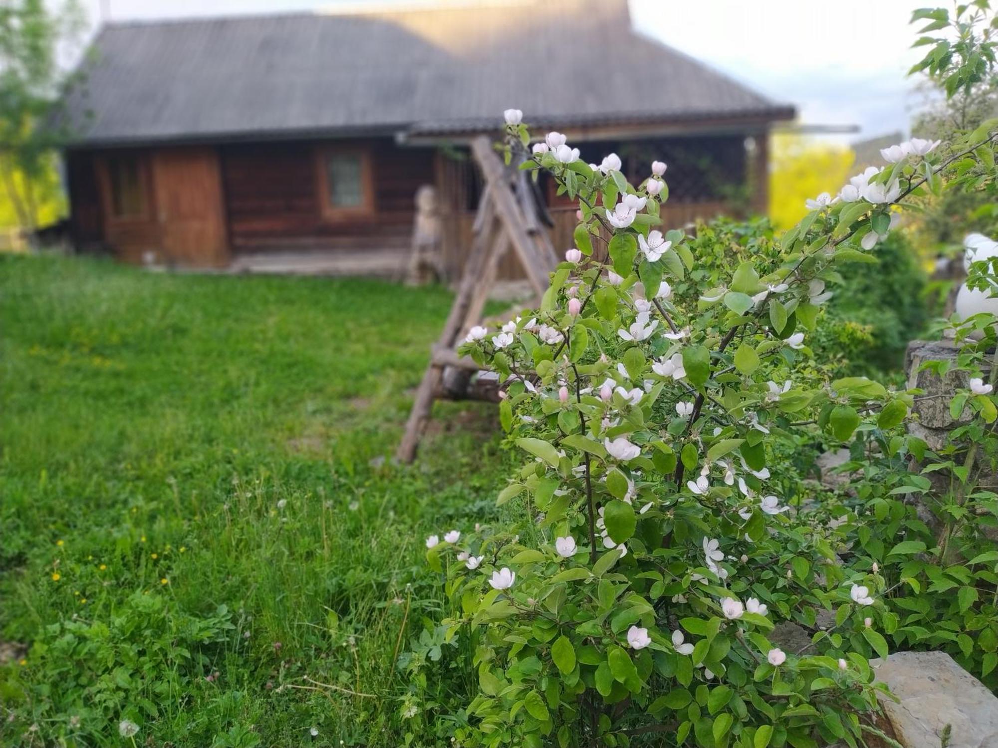 Starovitska Hata - Ethno-Cottage Verkhovyna Luaran gambar