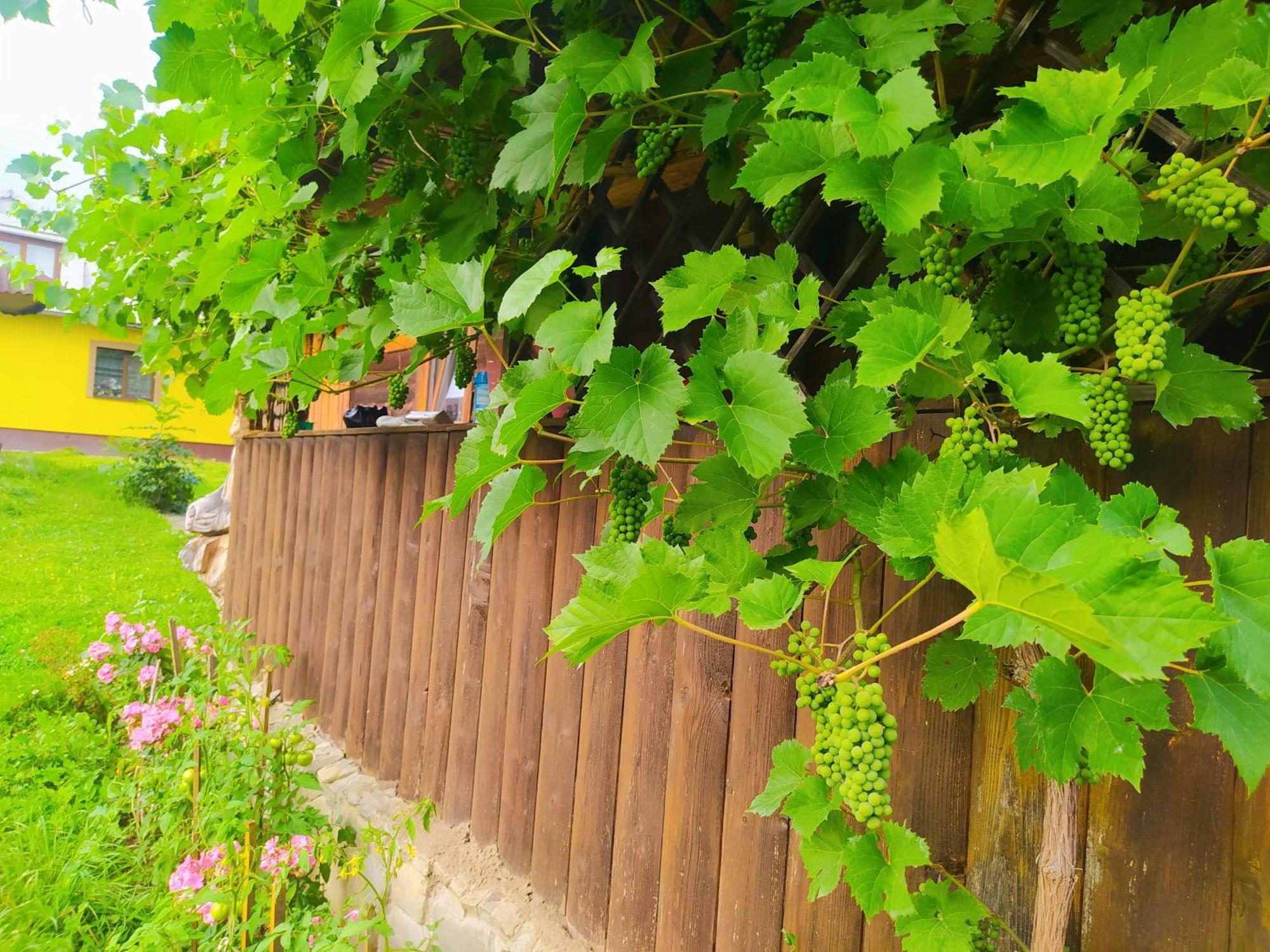 Starovitska Hata - Ethno-Cottage Verkhovyna Luaran gambar