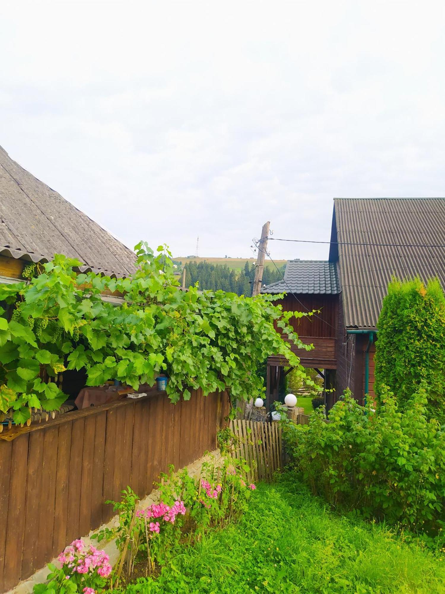 Starovitska Hata - Ethno-Cottage Verkhovyna Luaran gambar