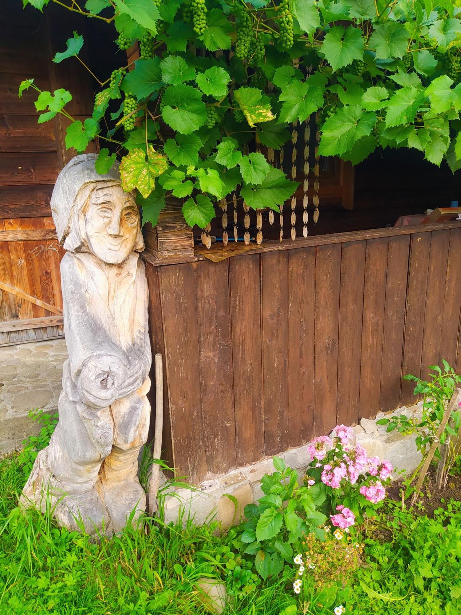 Starovitska Hata - Ethno-Cottage Verkhovyna Luaran gambar