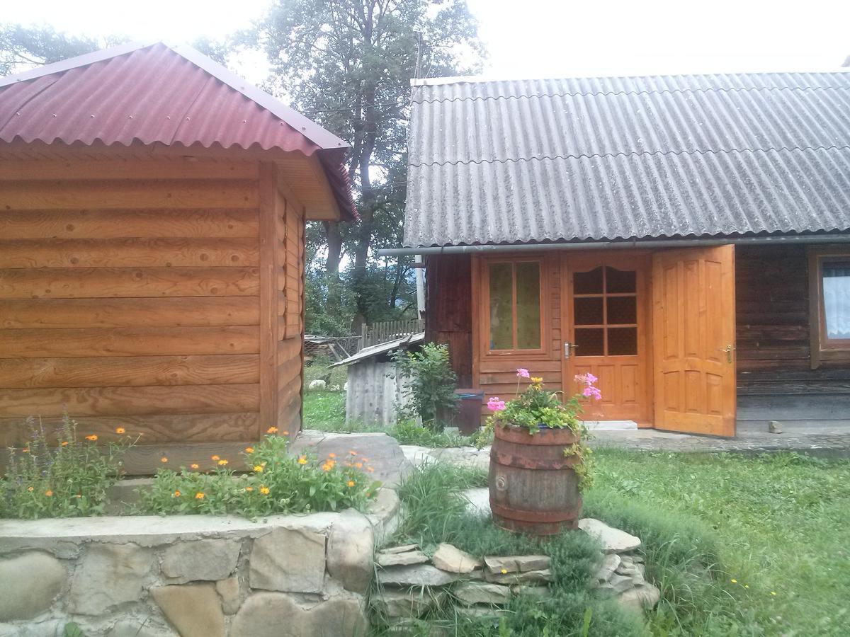 Starovitska Hata - Ethno-Cottage Verkhovyna Luaran gambar