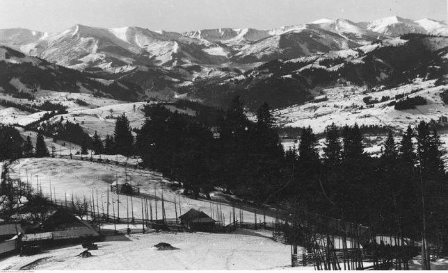 Starovitska Hata - Ethno-Cottage Verkhovyna Luaran gambar